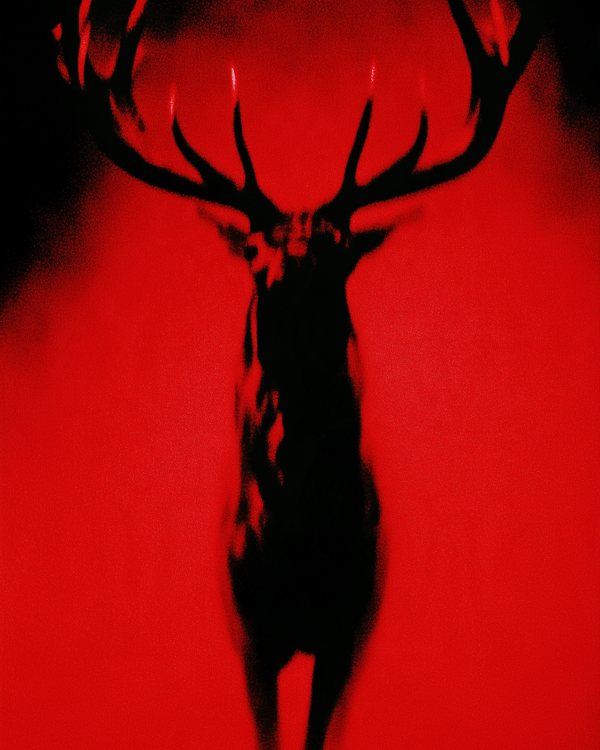 Rouge Wallpaper Pack: 20 HD phone wallpapers